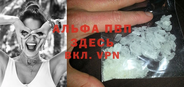 молекула духа Балахна