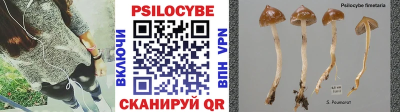 Псилоцибиновые грибы мицелий  МЕГА рабочий сайт  Новопавловск 